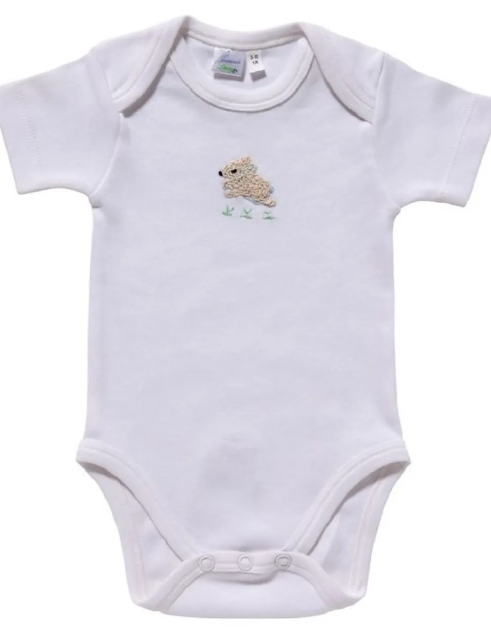 Short Sleeve Onesie