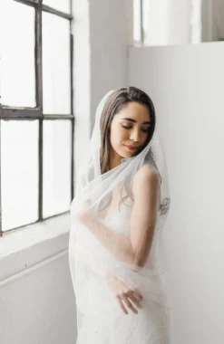 Siena Embellished Wedding Veil