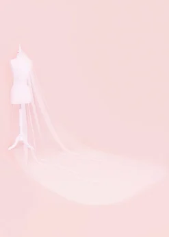 Siena Embellished Wedding Veil
