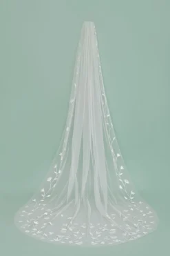 Sienne Veil