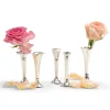 Single Stem Vase, Set of 5