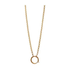 Small Belcher Chain with Bolt Clasp