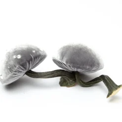 Small Grey Mushroom