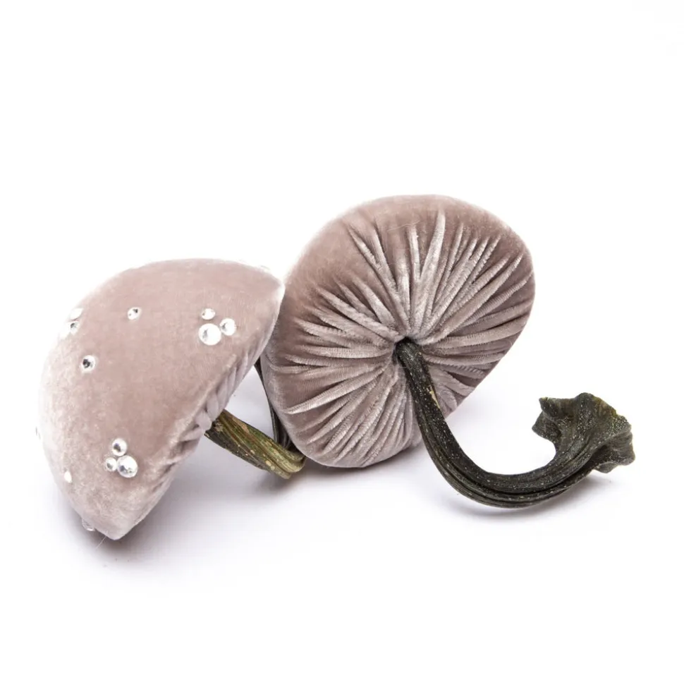 Small Putty Mushroom