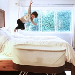 SNOO Smart Sleeper Bassinet