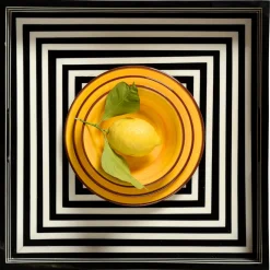 St. Tropez Melamine Dinner Plate
