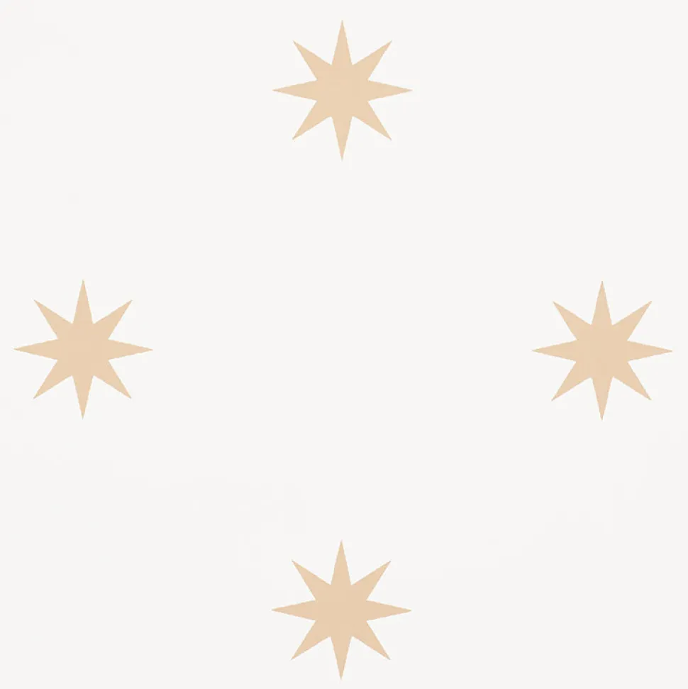 Stargaze Wallpaper in Bronze