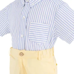 Sunflower Boy Set