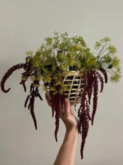 Sweet Onion Basket