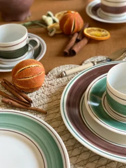 Tangerine Dinner Plate In Cactus Green