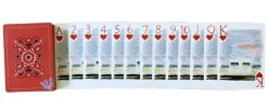 Texas Playing Cards