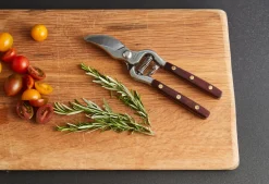 Thai Kitchen and Garden Shears