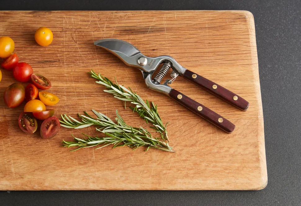 Thai Kitchen and Garden Shears