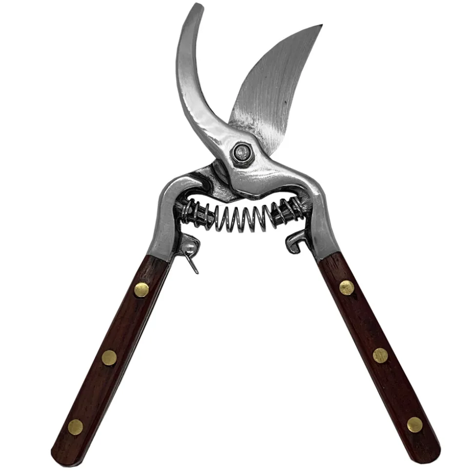 Thai Kitchen and Garden Shears