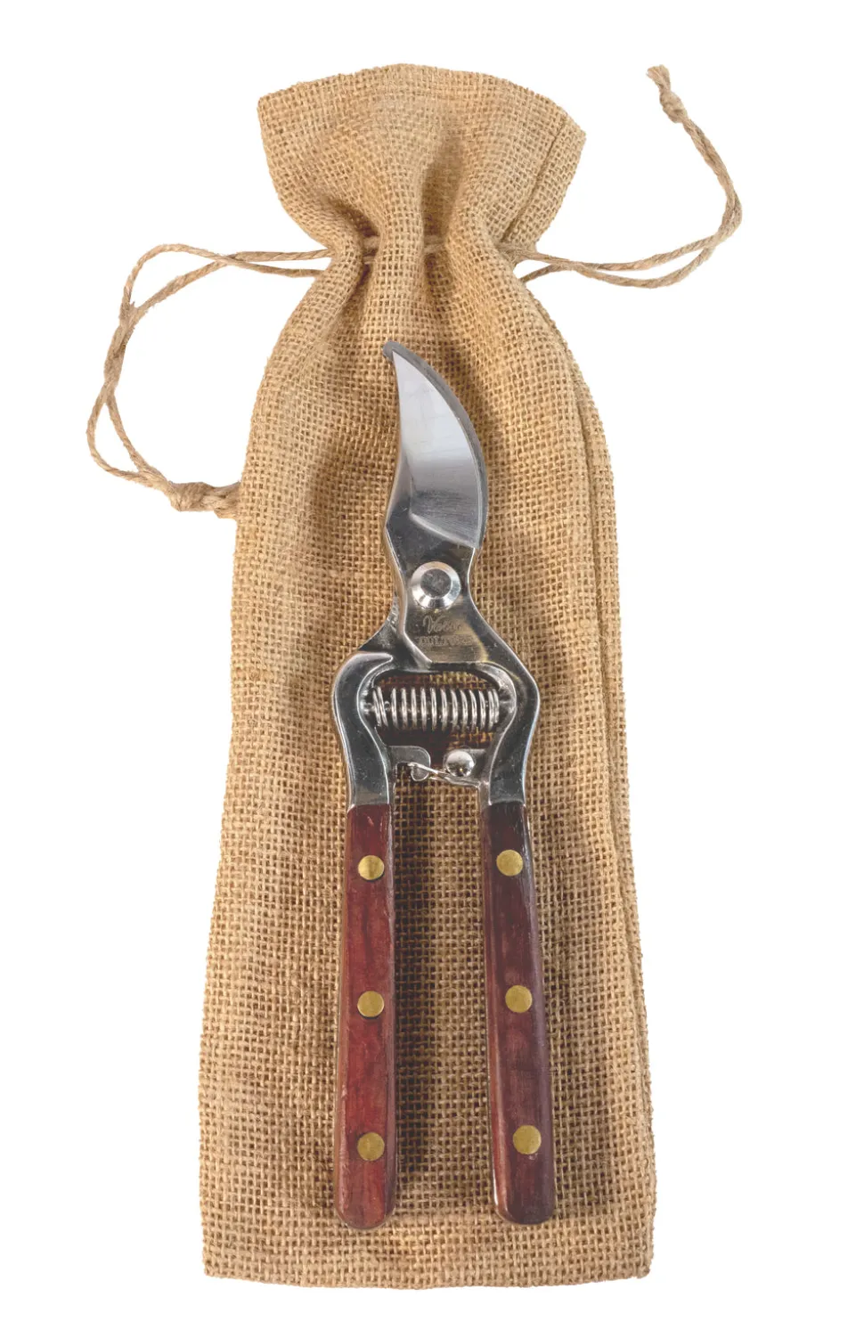 Thai Kitchen and Garden Shears