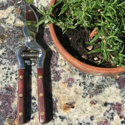 Thai Kitchen and Garden Shears