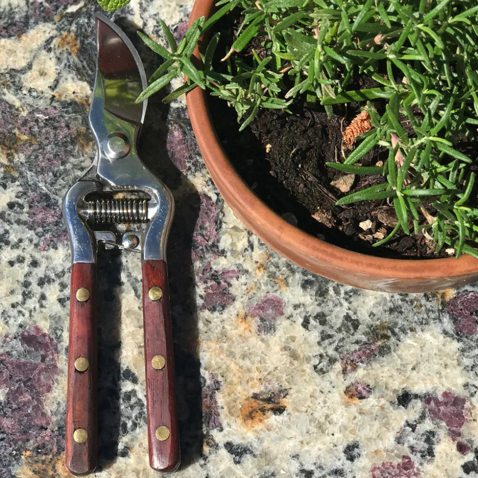Thai Kitchen and Garden Shears