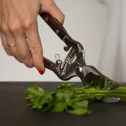 Thai Kitchen and Garden Shears