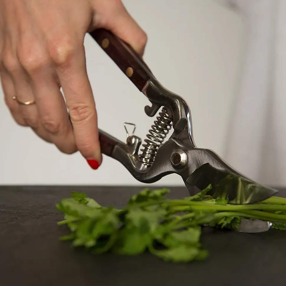 Thai Kitchen and Garden Shears