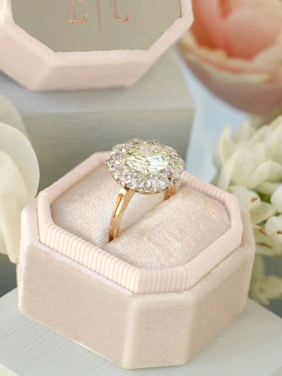 The Antonia Bevel Single