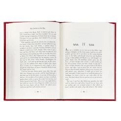The Catcher in the Rye in Bonded Leather