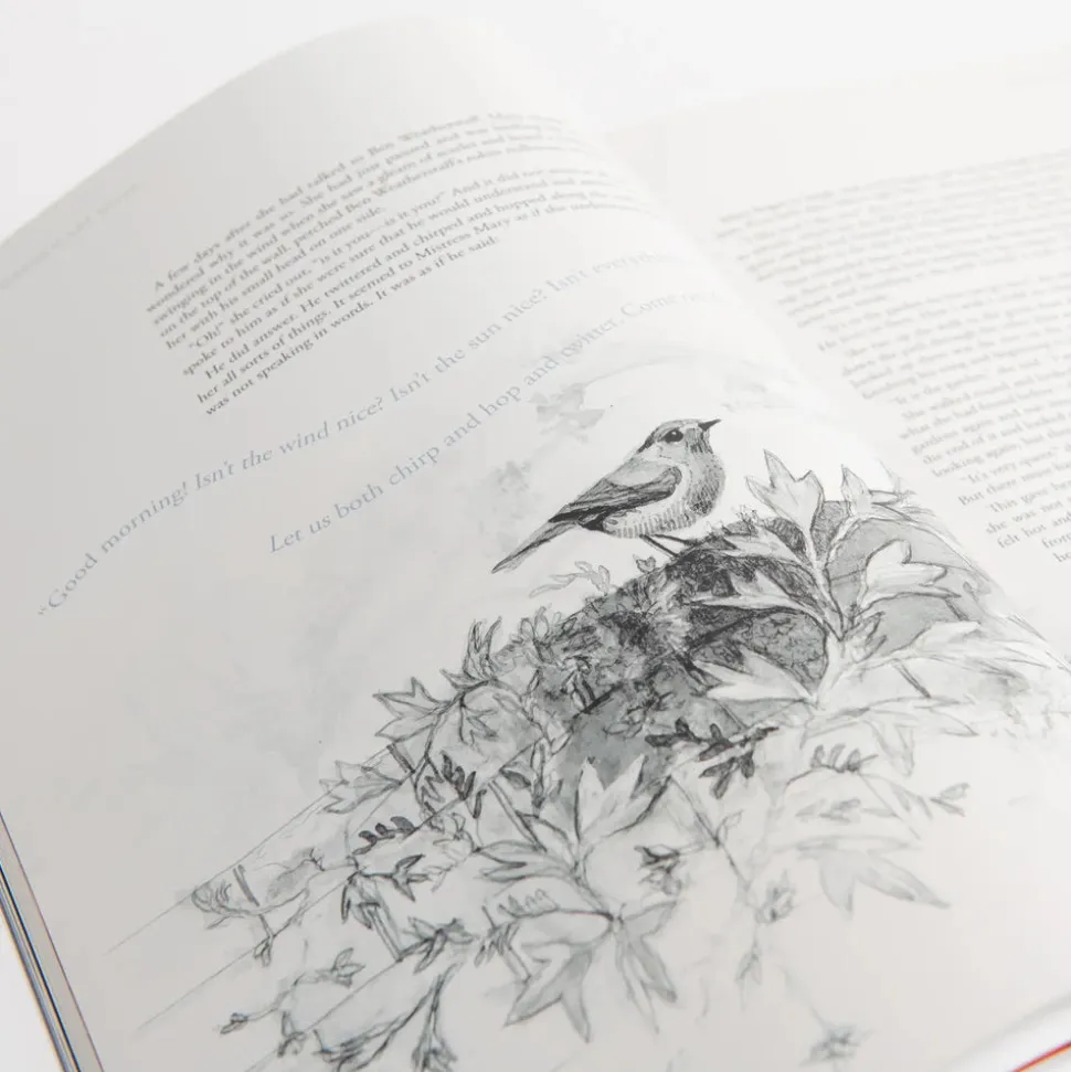 The Secret Garden Art Novel Collector's Edition