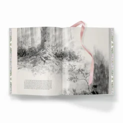 The Secret Garden Art Novel Collector's Edition