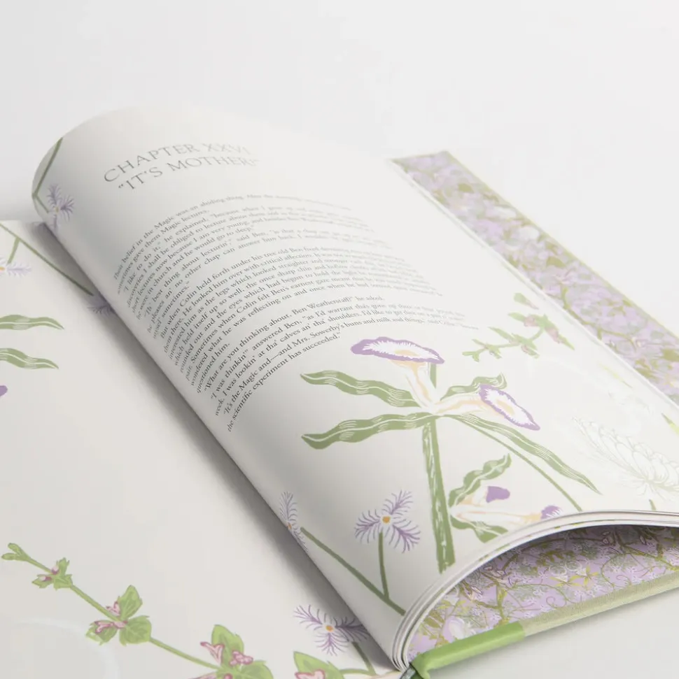 The Secret Garden Art Novel Collector's Edition