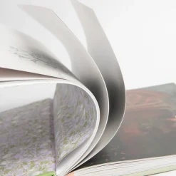 The Secret Garden Art Novel Collector's Edition