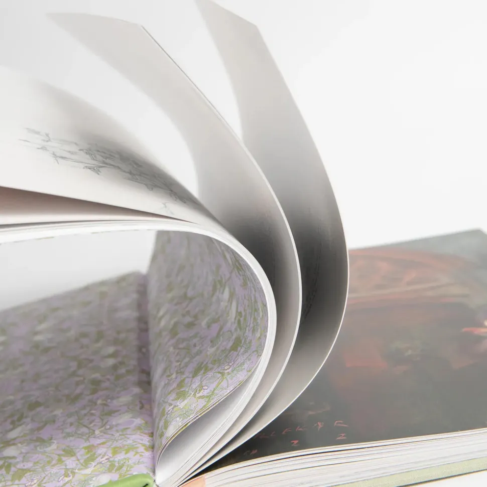 The Secret Garden Art Novel Collector's Edition