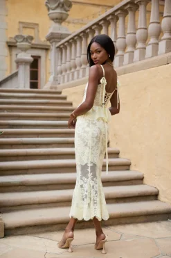 The Vinetta Set in Transparent Yellow Lace