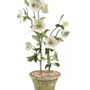 Tole Flower Standard Hellebore