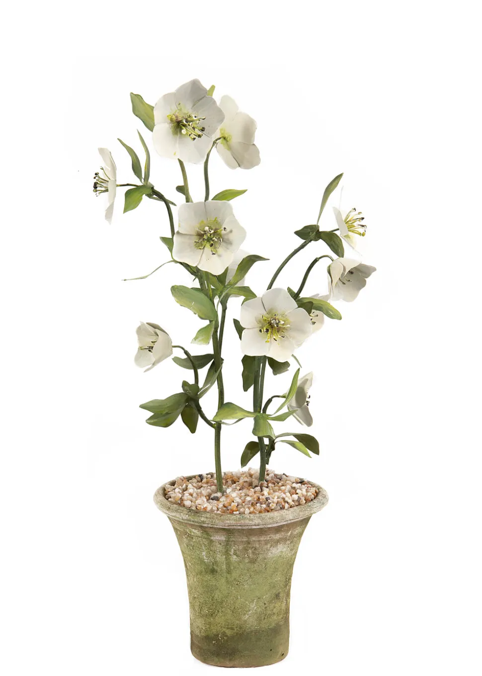 Tole Flower Standard Hellebore