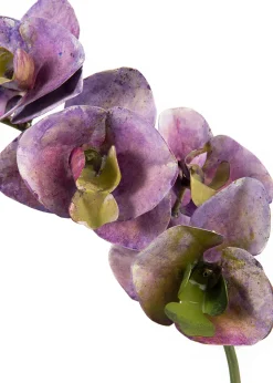 Tole Flower Standard Orchid