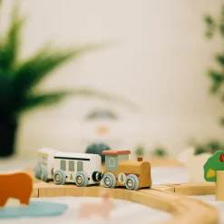 Train Set Woodland Animal