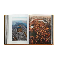 Trope New York in Yellow
