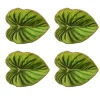 Tropicana Coasters in Green, Set of 4 in a Gift Box
