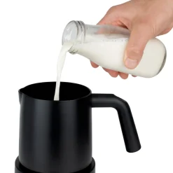 TS Frother