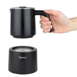 TS Frother