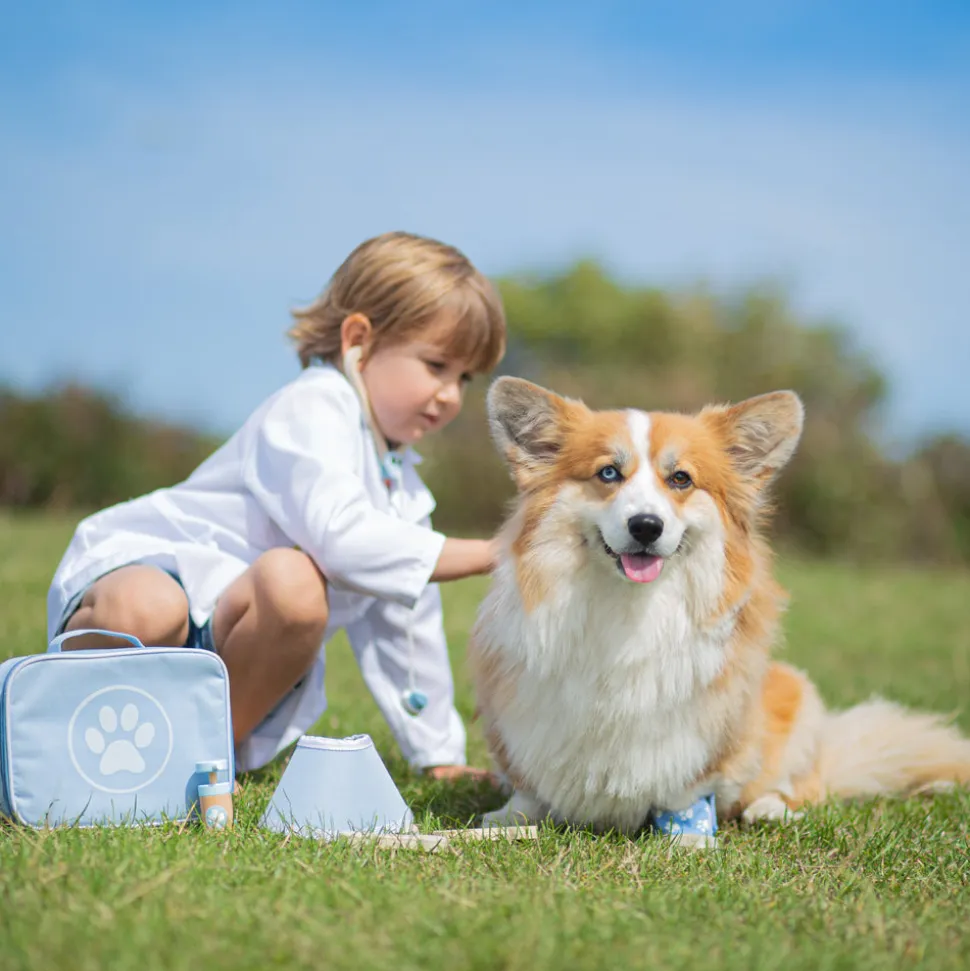 Veterinary Set