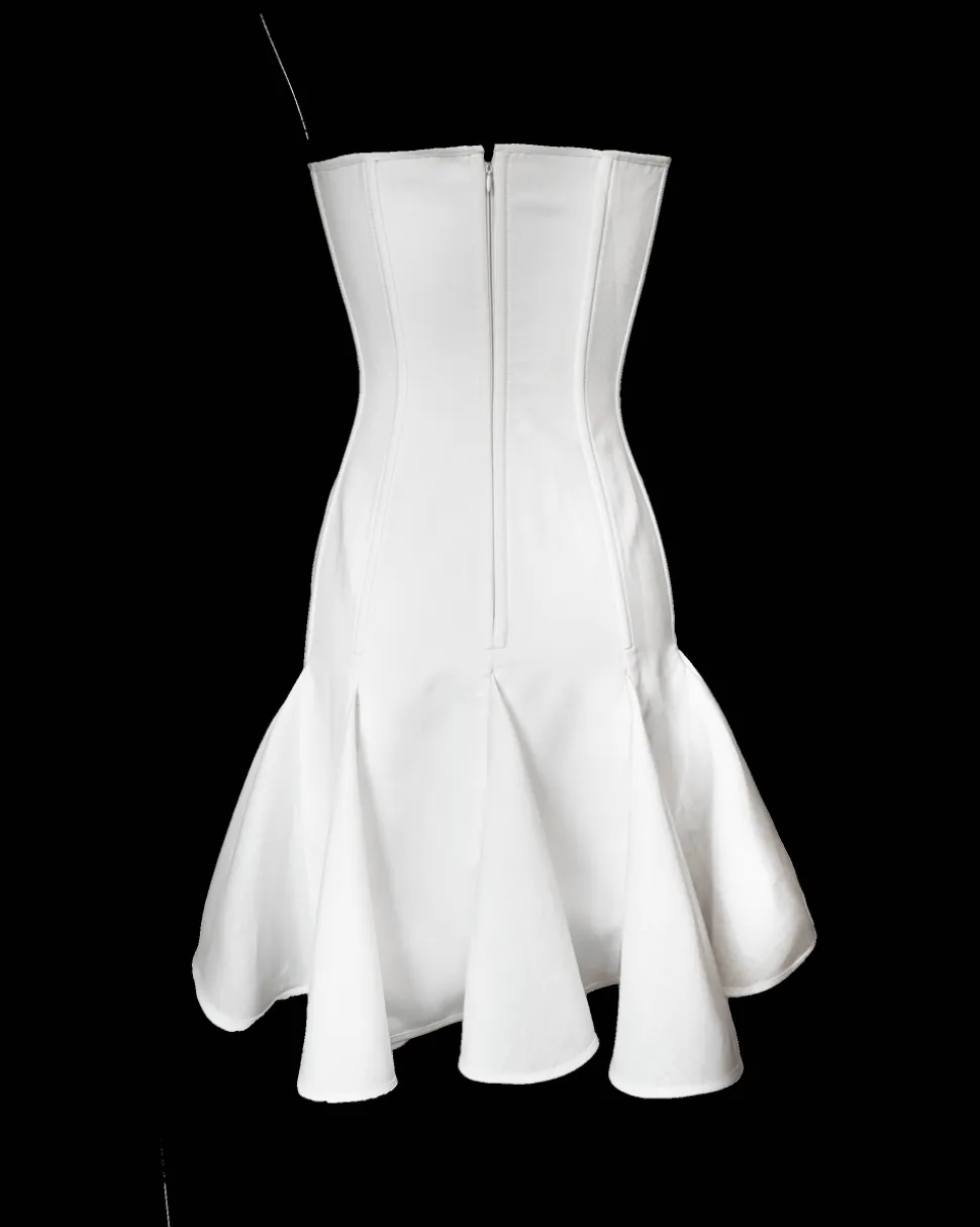 Victorian Mini Dress