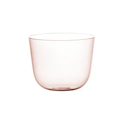 Water Tumbler 04 in Rosalin