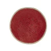 Watermelon Dinner Plate