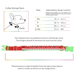 Watermelon Dog Collar