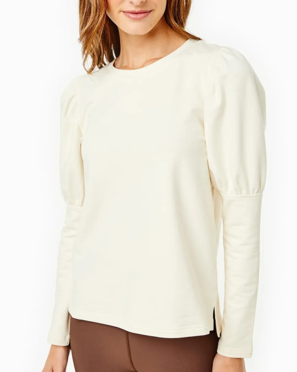 Webster Top