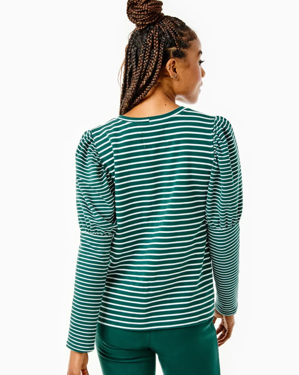 Webster Top