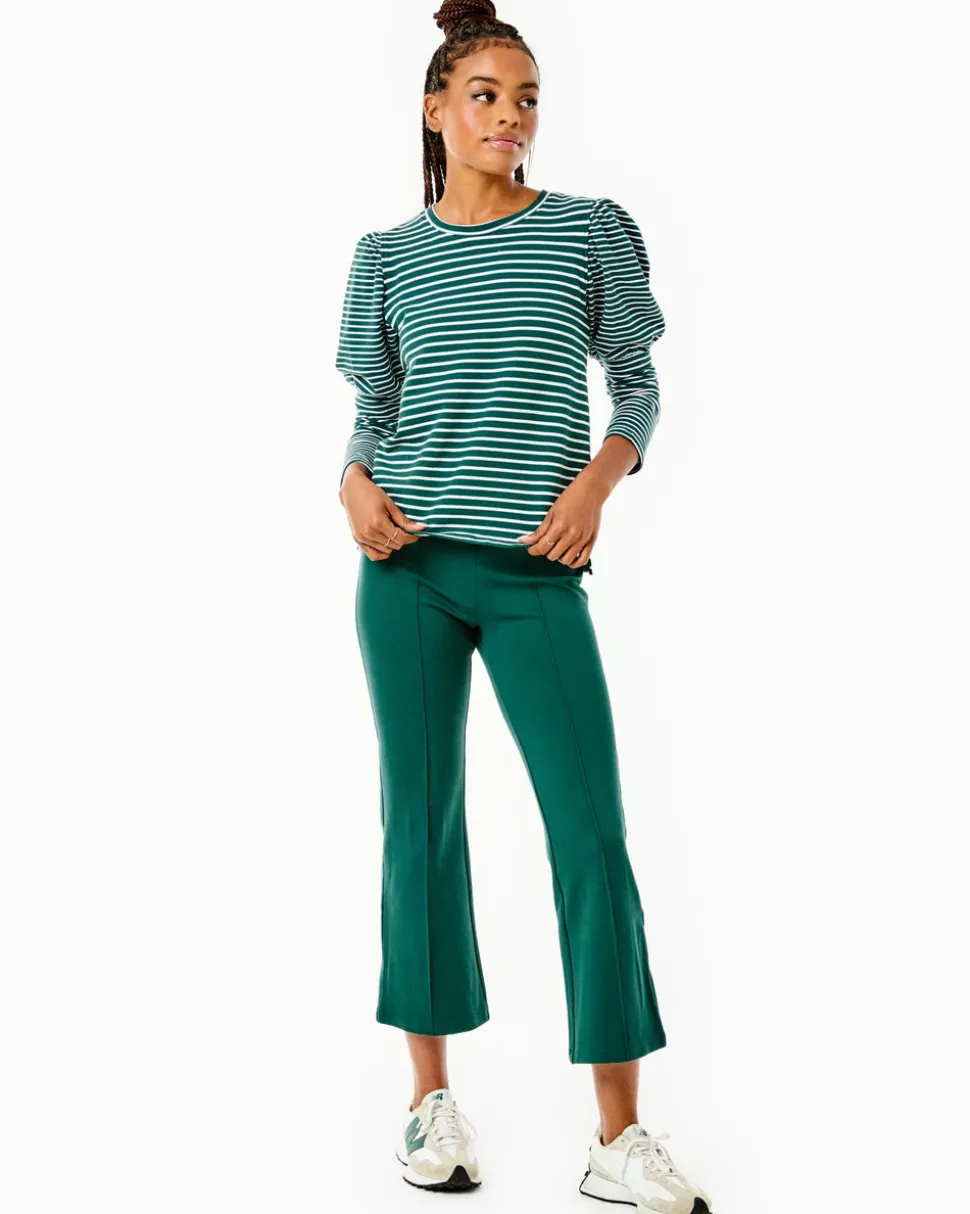 Webster Top