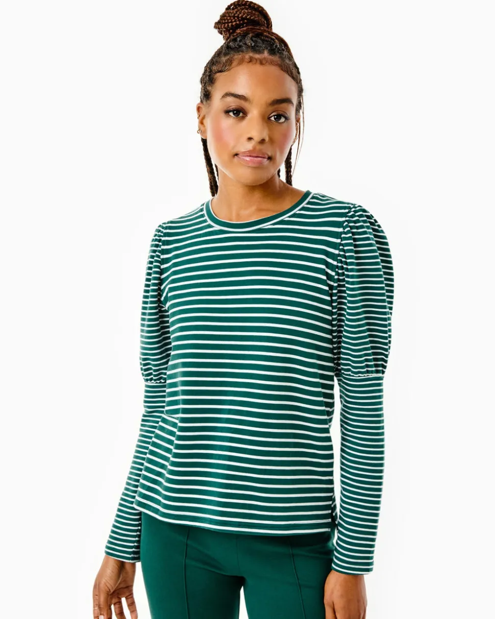 Webster Top
