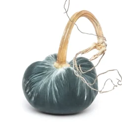 Wedgewood Silk Velvet Pumpkin