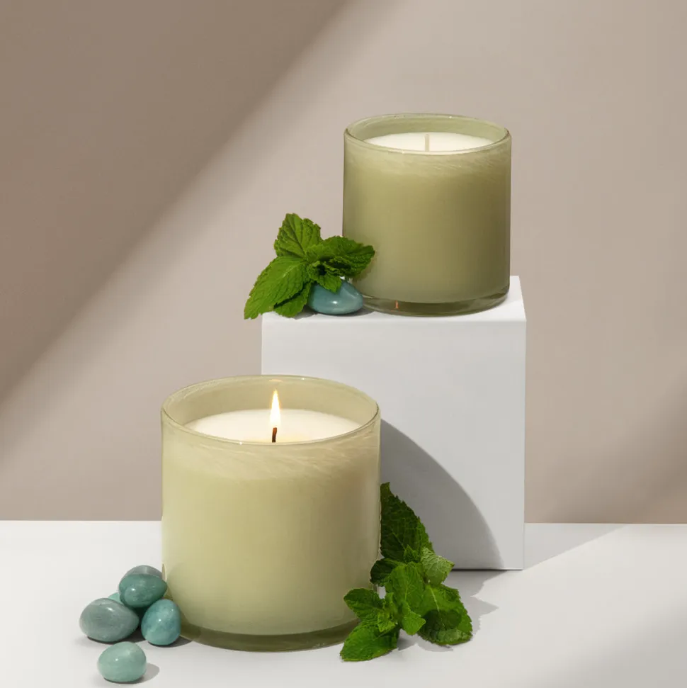 Wild Honeysuckle Signature Candle